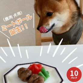 【ふるさと納税】鹿肉ドッグフード　鹿肉ミートボール（犬用）　10パック（約60g×10） 加工食品 お肉 家族 健康 食事 大切 ペット 自然 新鮮 動物 高品質 安心 安全 国産 子犬 老犬 栄養 小分け