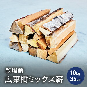 yӂ邳Ɣ[Łzd Lt~bNXd10kg 35cm `劄dXg[u Lv  TNEPL̎ d AEghA 䌧 ዷ