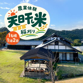 【ふるさと納税】～天日干し米　稲刈り～　農業体験　1名様　　1泊2日