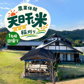 【ふるさと納税】～天日干し米　稲刈り～　農業体験　1名様　日帰り