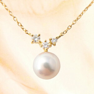 yӂ邳Ɣ[ŁzWG[̊XyRb{z肨͂@K18YG@AR^@_ChlbNX@N30yzsnFEꌧzy1229798z