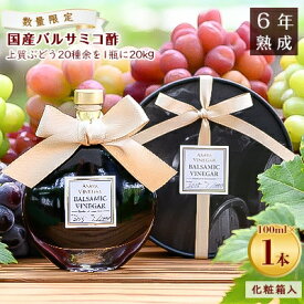 【ふるさと納税】【数量限定】濃厚で芳醇な味わい!6年熟成・山梨県産バルサミコ酢100ml×1本【配送不可地域：離島】【1230954】