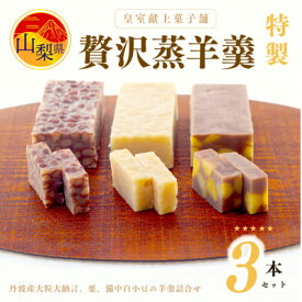 【ふるさと納税】皇室献上菓子舗 特製 贅沢蒸羊羹3本セット【配送不可地域：離島】【1285985】