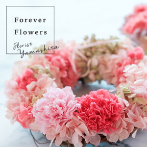 yӂ邳Ɣ[ŁzvU[uht[̃J[l[V[X@sNyzsnFzy1292212z