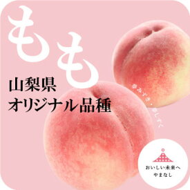 【ふるさと納税】日本一の桃の里 山梨よりもぎたてを直送!山梨県オリジナル品種「夢みずき・夢しずく」1.5キロをお届け【配送不可地域：離島】【1381399】