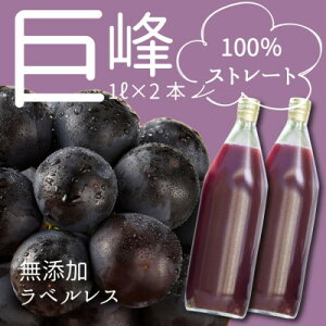 yӂ邳Ɣ[ŁzyW[Xz̎Yn狐100%Xg[gԂǂW[X1L×2{yzsnFzy1463271z