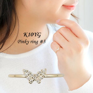 yӂ邳Ɣ[ŁzyRzyWG[zK10 Papillon/ps O 3yzsnFEꌧzy1526853z