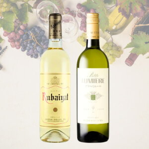 yӂ邳Ɣ[ŁzoC[g/v`~G[@2{Zbg@023yzsnFzy1623516z