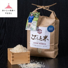 【ふるさと納税】冷めても美味しい!【令和7年産】こぴっと米【五百川】白米・2kg　特別栽培米_ 美味しい 人気 ごはん 米 白米 山梨県 弁当 特別栽培米 【配送不可地域：離島】【1652042】