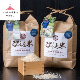 【ふるさと納税】冷めても美味しい!【令和7年産】こぴっと米【五百川】白米・4kg　特別栽培米【配送不可地域：離島】【1652043】