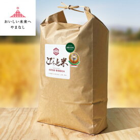 【ふるさと納税】国際大会受賞歴有!【令和7年産】こぴっと米【農林48号】玄米・10kg　特別栽培米【配送不可地域：離島】【1652047】