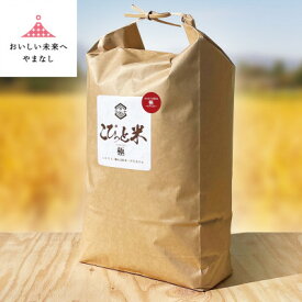【ふるさと納税】きわだつ大粒!【令和7年産】こぴっと米【極】白米・10kg 特別栽培米_ 美味しい 人気 大粒 ごはん 米 白米 山梨県 ギフト 特別栽培米 【配送不可地域：離島】【1652053】