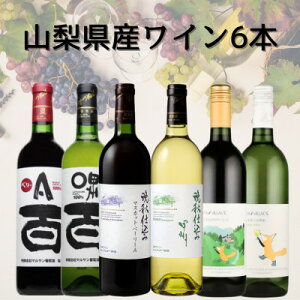 yӂ邳Ɣ[ŁzRYC6{Zbg@043yzsnFzy1682291z