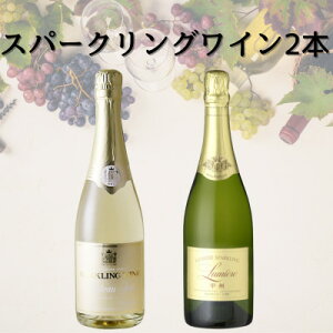 yӂ邳Ɣ[ŁzXp[NOC2{Zbg(5)@049y1684419z