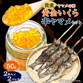 【ふるさと納税】黄金いくらと串ヤマメのセット【配送不可地域：離島】【1204504】