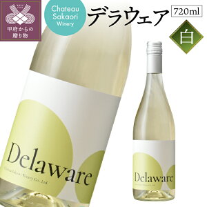yӂ邳Ɣ[Łz C R Vg[  fEFA Ԃǂ Ì BBQ  p[eB NX}X a hV̓ LO Y k021-092