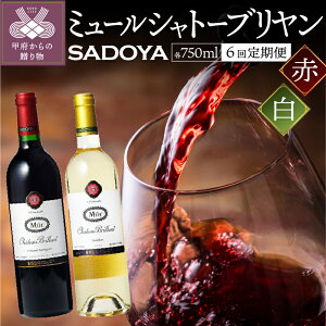 yӂ邳Ɣ[Łz C  6 R Th ~[ Vg[u   Zbg YԂǂ 750ml ̓ ̓ hV̓ LO k021-200