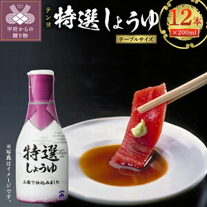 【ふるさと納税】調味料 しょうゆ セット 特選 テンヨ 新鮮 ボトル k023-051