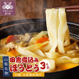 【ふるさと納税】 ほうとう 山梨 麺 みそ味 常温 無添加 無塩 長期 保存 郷土料理 国産 150g×3 3人前 味噌付き 非常食 常備食 k001-132