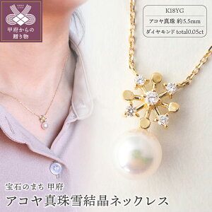 真珠 ペンダント プレゼントの人気商品 通販 価格比較 価格 Com