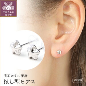 ファーストピアス 可愛い ピアス ボディピアスの人気商品 通販 価格比較 価格 Com