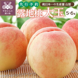 【ふるさと納税】 先行予約 2024年 桃 大玉 白凰 白桃 ピーチ 山梨県産 産地直送 露地桃 フルーツ王国山梨 5～6玉 2024年6月下旬頃～8月中旬にかけて順次配送 k003-018