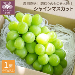 yӂ邳Ɣ[Łz VC}XJbg Ԃǂ RY Ԍ ʌ 2025Nz 1[ 500gȏ t[c uhE ͔| L@엿 n Yn k041-015