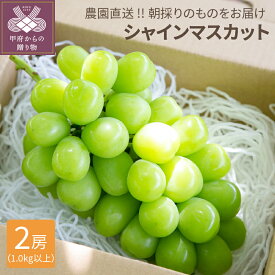 【ふるさと納税】 シャインマスカット ぶどう 山梨県産 期間限定 数量限定 2026年配送分 2房 1.0kg以上 フルーツ ブドウ 葡萄 草生栽培 有機肥料 完熟 産地直送 k041-016