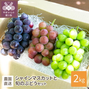 yӂ邳Ɣ[Łz VC}XJbg Ԃǂ lߍ킹 v3 Zbg RY Ԍ ʌ 2025Nz 2kg { t[c ͔| L@엿 k041-017