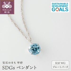 yӂ邳Ɣ[Łz b{WG[  y_g lbNX WG[ b{ SDGs 10 CG[S[h zCgS[h Iׂ n  ȈՕ k053-142