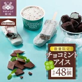 【ふるさと納税】 アイス アイスクリーム シャトレーゼ チョコミント 4種 食べ比べ 48個 セット チョコバッキー ドライミント チョコミントバー たっぷりチョコミント デザートショコラボール 詰合せ デザート スイーツ おやつ ギフト 贈答 k066-079