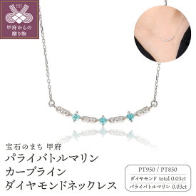 【ふるさと納税】 ネックレス ペンダント ダイヤモンド ジュエリー アクセサリー レディース 0.03ct プラチナ Pt950 Pt850 パライバトルマリン レアストーン スマイルライン デザイン プレゼント ギフト 専用ケース付 保証書付 k122-111