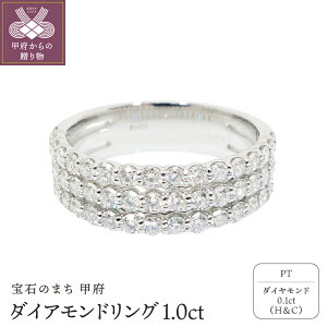 ふるさと納税 リングの人気商品 通販 価格比較 価格 Com