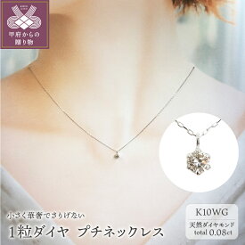 【ふるさと納税】 ネックレス ペンダント ジュエリー レディース アクセサリー ダイヤモンド 0.08ct K10 ホワイトゴールド プチネックレス ジュエリーケース付 鑑別書付 保証書付 k131-086