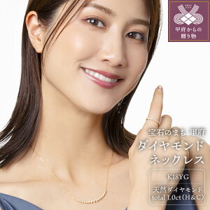 【ふるさと納税】< 甲府ジュエリー > ネックレス ジュエリー アクセサリー レディース ダイヤモンド 1.0カラット ハート&キューピッド ライン 18金 ジュエリーケース付 鑑別書付 保証書付 k