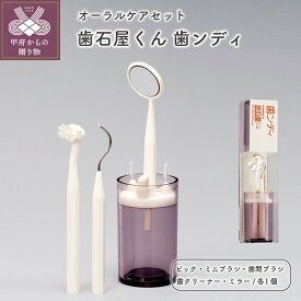 【ふるさと納税】 オーラルケア セット 健康 ミラー付 ピック ワイヤー ブラシ 送料無料 k034-016