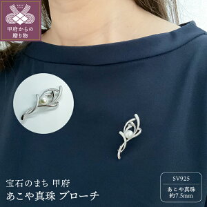 yӂ邳Ɣ[Łz b{WG[  u[` WG[ ANZT? fB[X ^ p[ Vo[ SV925 WG[P[X y[p[obOt ۏ؏t k152-011