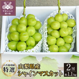 【ふるさと納税】先行予約 2024年 シャインマスカット 山梨県産 ブドウ 種無し 数量限定 期間限定 特選 草生栽培 2房 約1.1kg クール便 全房糖度測定 フルーツ王国山梨 2024年8月上旬以降発送 k150-010