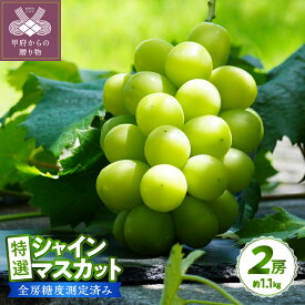 【ふるさと納税】2026年 先行予約 シャインマスカット 【高評価★4.9】 山梨県 ブドウ 種なし リピーター多数 数量限定 草生栽培 2房 約1.1kg 糖度測定 2026年8月上旬より順次配送予定 k150-010