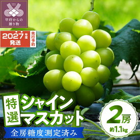 【ふるさと納税】シャインマスカット 山梨 県産 2027年 先行予約 シャインマスカット 【高評価★4.93】 ブドウ 種なし リピーター多数 数量限定 草生栽培 2房 約1.1kg 糖度測定 2027年8月上旬より順次配送予定 果物 フルーツ 王国山梨 秋 旬 k150-010
