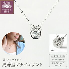 【ふるさと納税】ペンダント ネックレス レディース ジュエリー アクセサリー プラチナ ダイヤモンド 0.2ct 馬蹄 ジュエリーケース付き ギフト ラッピング 贈り物 鑑別カード付 保証書付 k167-023