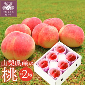 yӂ邳Ɣ[Łz 2026N s\  R Y t[c Yn b{s 2.0kg 6`8  Y { t[cR ① 2026N7{`8{ɂď k212-001