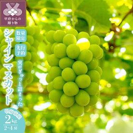 【ふるさと納税】 先行予約 2024年 シャインマスカット 山梨県産 甲府市産 数量限定 ブドウ フルーツ 2房～4房 2kg 糖度20度前後 大粒 高級 完熟 甘い 朝採れ 産地直送 人気急上昇中 高評価 フルーツ王国山梨 2024年8月中旬～9月下旬にかけて順次配送予定 k213-007