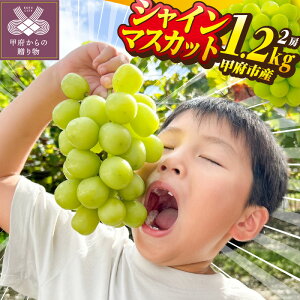 yӂ邳Ɣ[Łz VC}XJbg s\ 2025N R Y Ԃǂ b{ sY 2[ 1.2kg t[c x20xO  n Yn lC}㏸ ] t[cR  Mtg 2