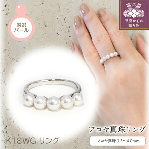 yӂ邳Ɣ[Łz b{WG[  O WG[ ANZT[ fB[X AR^ p[ zCgS[h 18 tH[} Mtg v[g 蕨 bsO ̓ W