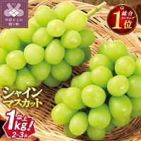 【2026年度先行予約品】鮮度抜群！新鮮な味を皆様に！山梨のシャインマスカ...