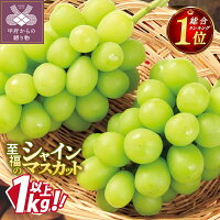 【ふるさと納税】 ★総合1位獲得★ 【高評価★】シャイン 楽天限定 先行予...
