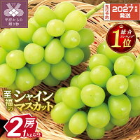【2027年度先行予約品】鮮度抜群！新鮮な味を皆様に！山梨のシャインマスカ...