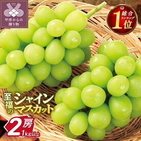 【ふるさと納税】 2026年 先行予約 ☆総合ランキング1位★ 山梨 県産 【★高評価★】シャイン 10000円 ぶどう シャインマスカット 令和8年 フルーツ 王国山梨 人気 果物 2房 冷蔵 1.0kg以上 種なし 大粒 高級 甘い 【2026年8月中旬〜10月上旬頃順次発送】 k245-002