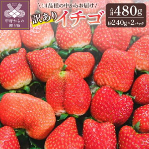 yӂ邳Ɣ[Łz󂠂  Zbg Mtg  ̂ꂽ t[c 240g×2pbN ① R b{sY k222-007